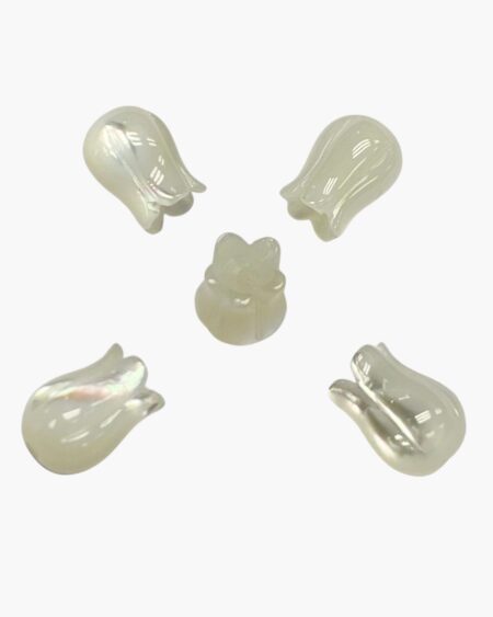 White Mother of Pearl Tulip