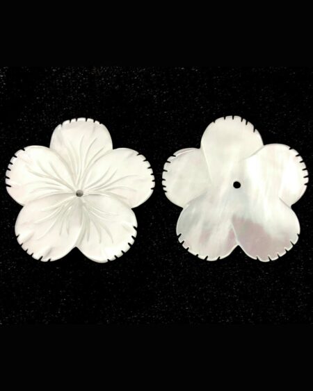 White Mother of Pearl Flower
