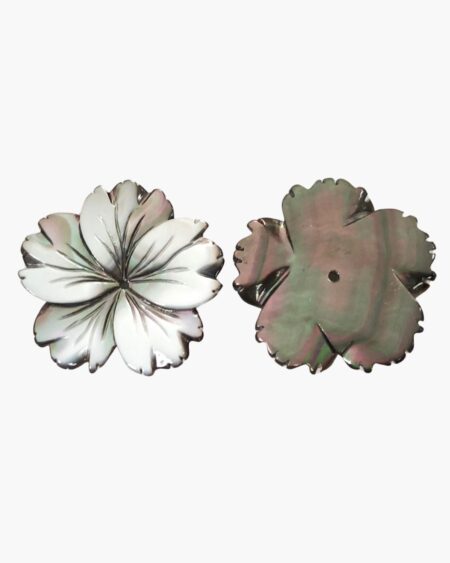 Black Mother of Pearl Flower