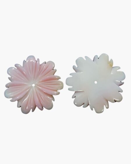 Pink Conch Flower