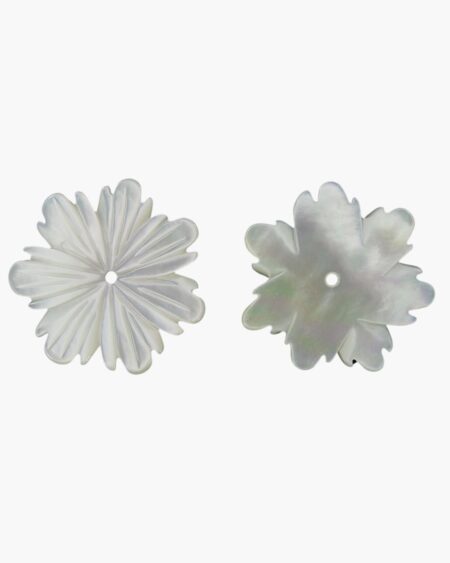 White Mother of Pearl Flower