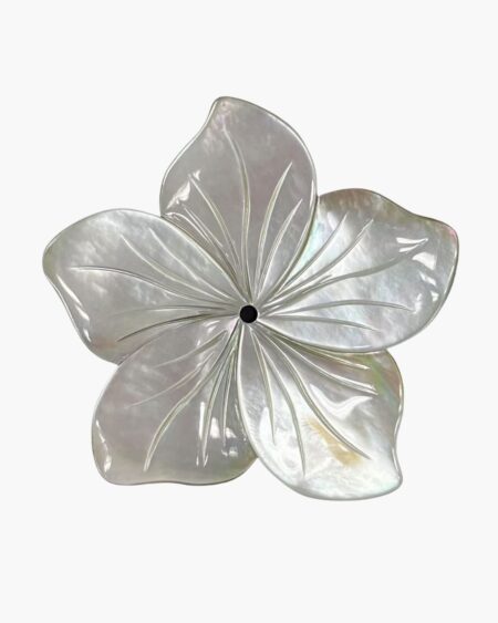 White Mother of Pearl Flower