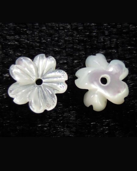 White Mother of Pearl Flower