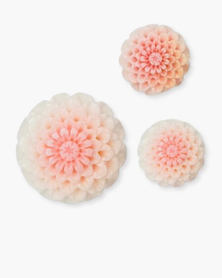 Flower, Queen Conch Shell
