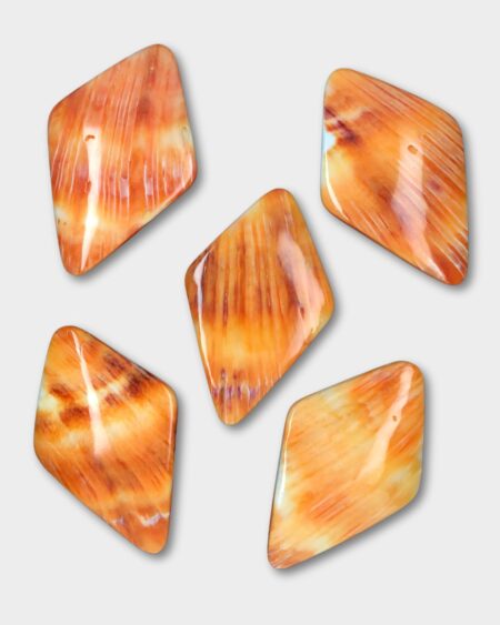 Rhombus, Spiny Oyster