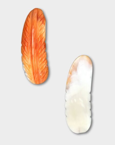 Feather, Spiny Oyster