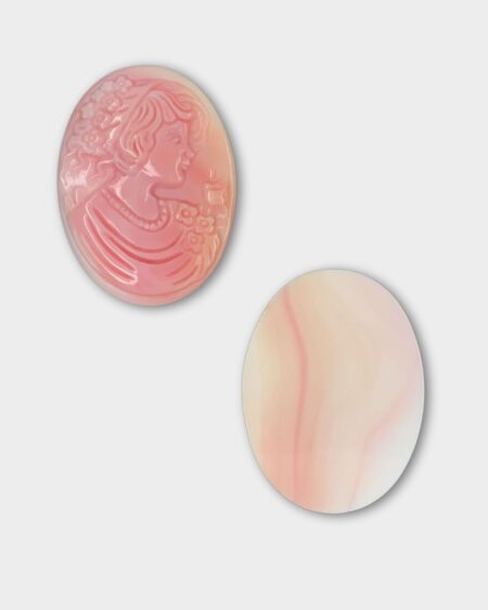Lady Cameo, Pink Queen Conch