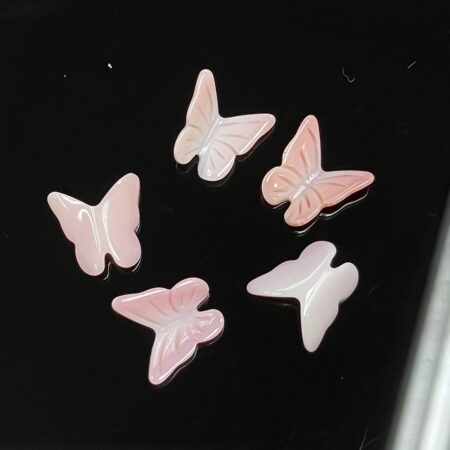 Queen Conch Shell Butterfly
