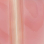Pink Queen Conch Shell
