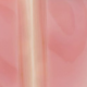 Pink Queen Conch Shell