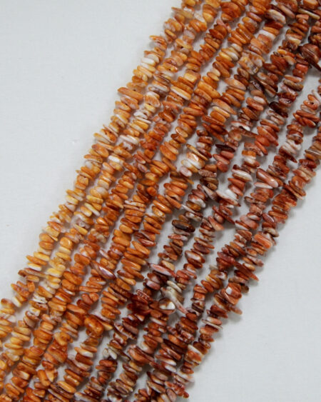 Spiny Oyster Freeform Chips Strand