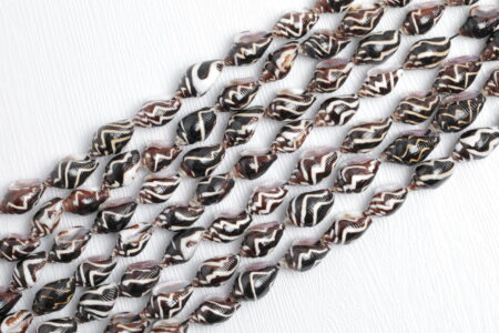 Sea Snail Shell Strand