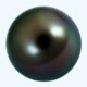 Tahitian Black Pearl
