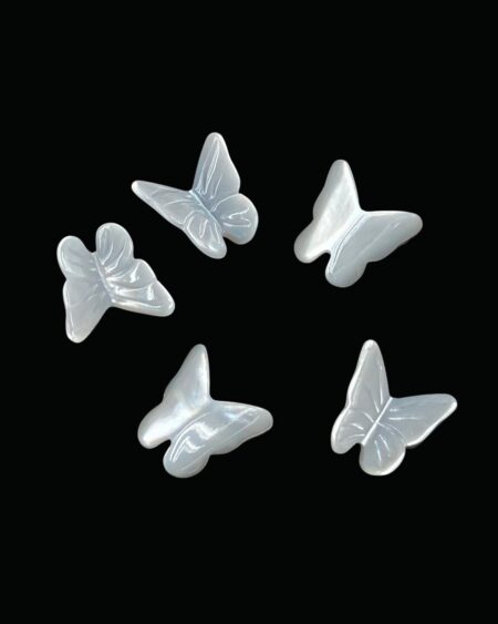 White Mother Of Pearl Butterfly