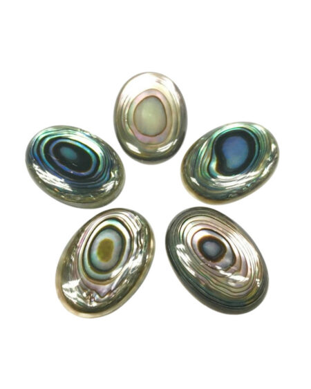 Abalone Shell Oval Cabochons
