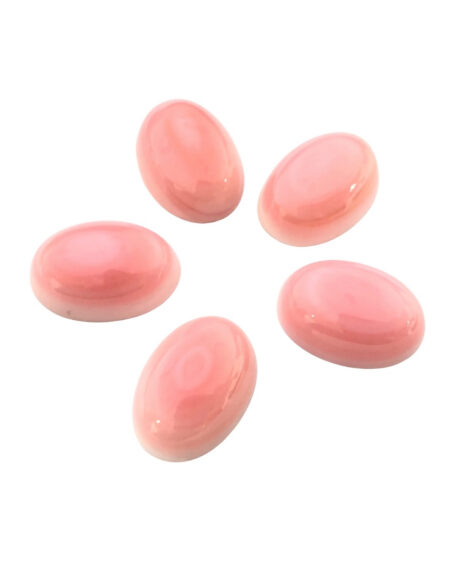 Pink Queen Conch Shell Oval Cabochon